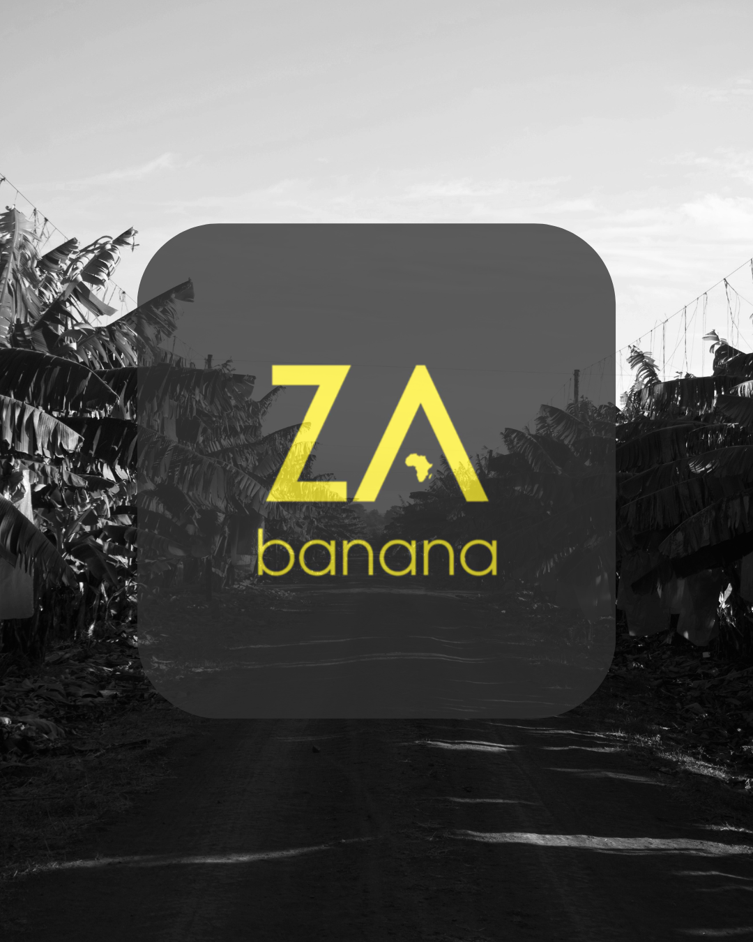 Peach Motivational Quote Instagram Post - 1 Peach Motivational Quote Instagram Post - 1